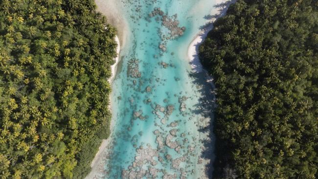 hoa tetiaroa atoll